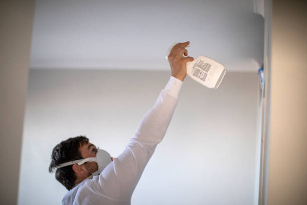 Best Commercial Mold Remediation in West Park, FL