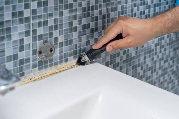 Best Post-Flood Mold Remediation in West Park, FL